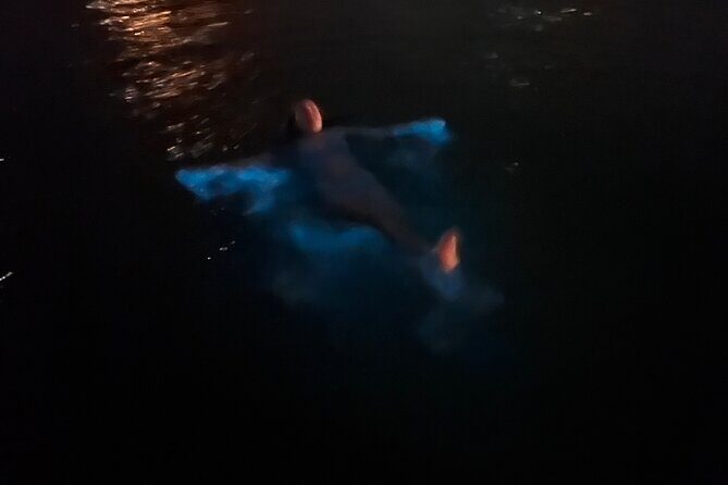 Private: Bioluminescence Tour - Who Will Love This Tour?