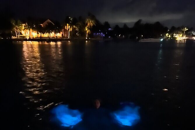 Private: Bioluminescence Tour - The Sum Up