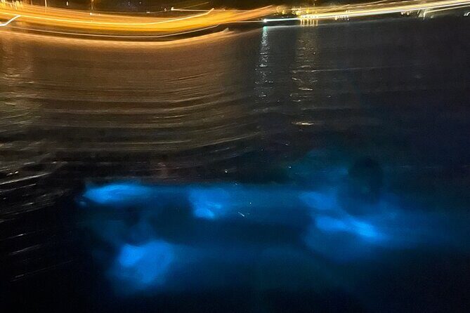 Private: Bioluminescence Tour - Frequently Asked Questions