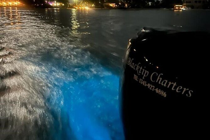 Private Bioluminescence Tour in Grand Cayman - Exploring the Private Bioluminescence Tour in Grand Cayman