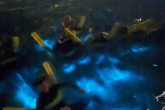 Private Bioluminescence Tour in Grand Cayman - Final Thoughts: Who Is This Tour Best For?