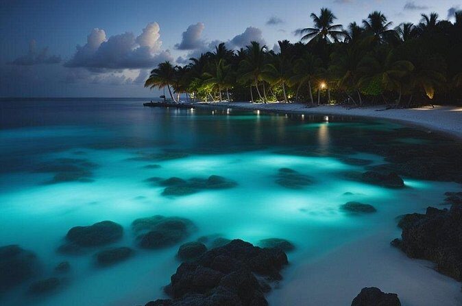 Private Bioluminescent Bay Tour - Frequently Asked Questions
