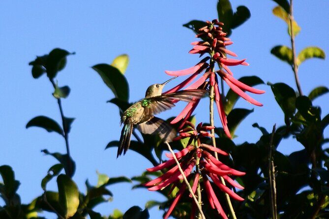 Private Birdwatching Tour in Sian Ka'an Muyil - Final Thoughts on the Experience