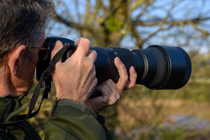 Private Birdwatching Tour with a Guide in Cozumel - What the Tour Offers