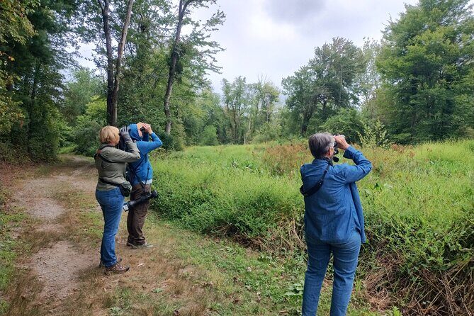 Private Birdwatching Walking Activity in Hendersonville - The Practicalities