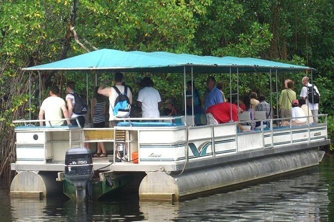 Private Black River Safari Tour from Montego Bay - Key Points