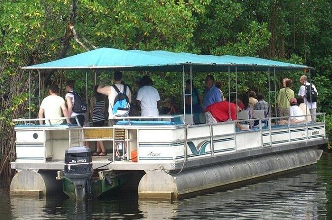 Private Black River Safari Tour from Montego Bay - The Sum Up