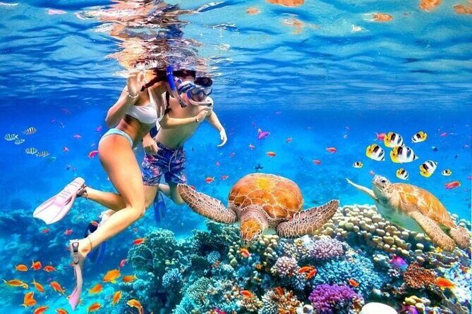 Private Blue Lagoon Snorkeling Lunch All Inclusive - Discover Bali’s Underwater Charm with the Private Blue Lagoon Snorkeling Tour