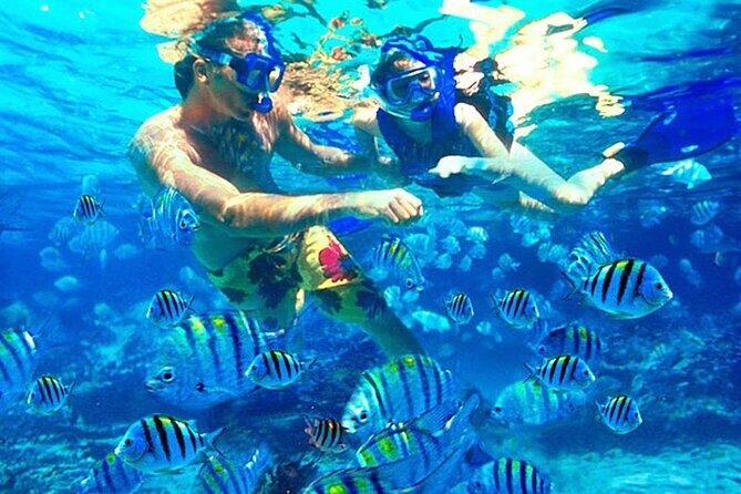 Private Blue Lagoon Snorkeling Lunch All Inclusive - The Experiences Strengths and Potential Drawbacks