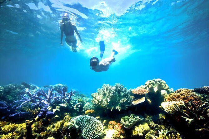 Private Blue Lagoon Snorkeling Lunch All Inclusive - Who Will Love This Tour?