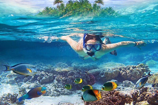 Private Blue Lagoon Snorkeling Lunch All Inclusive - FAQs about the Blue Lagoon Snorkeling Tour