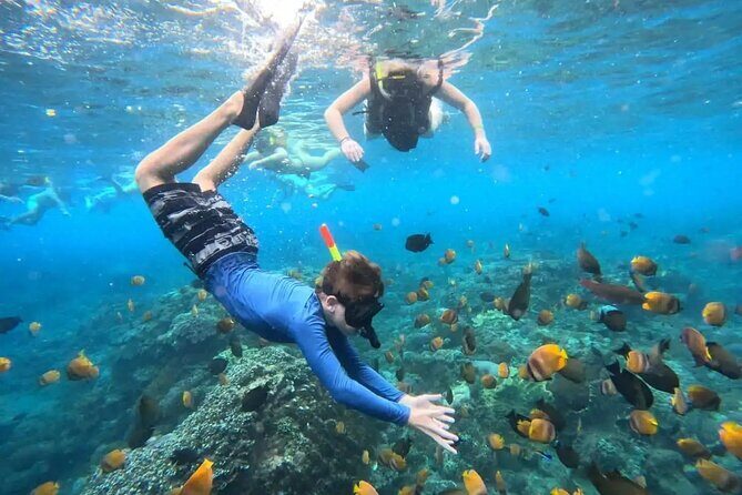 Private Blue Lagoon Snorkeling Lunch All Inclusive - Final Thoughts