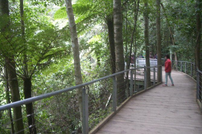 PRIVATE Blue Mountains day tour with local guide. - Transportation, Guides, and Value