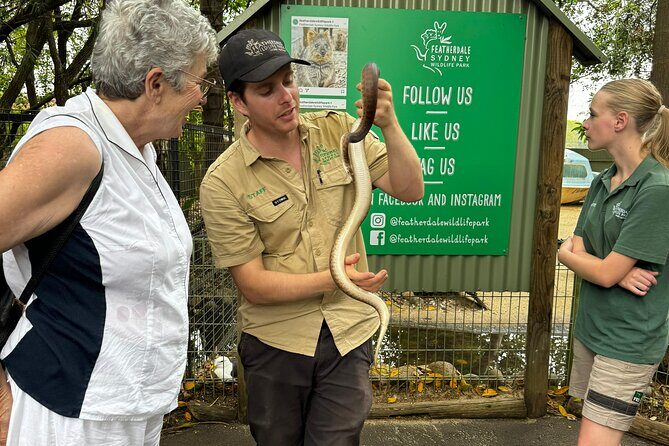 PRIVATE Blue Mountains Scenic World Australian Wildlife & Cruise - Scenic World: Adventure with Panoramic Views