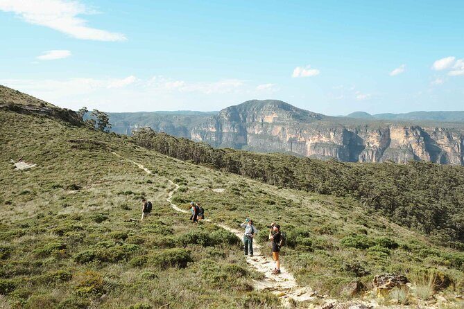 Private Blue Mountains Tour | Waterfalls, Koalas & Views - Who Would Love This Tour?
