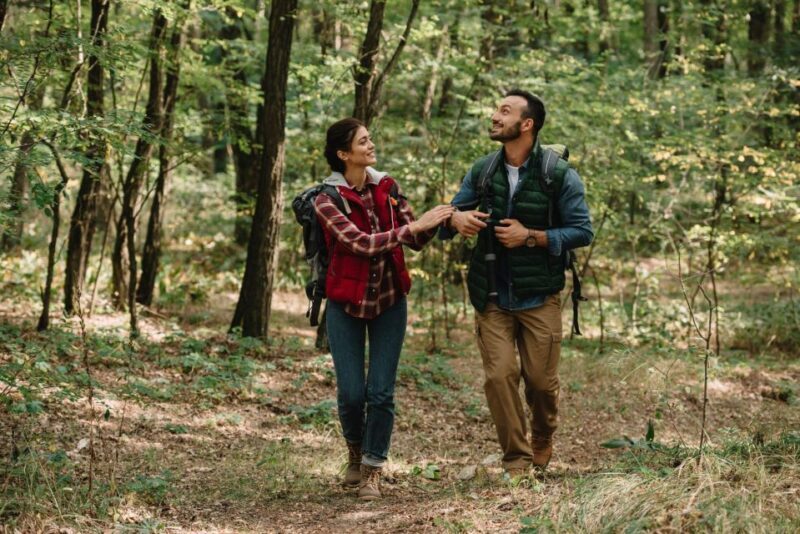 Private Blue Ridge Parkway Waterfalls Hike from Asheville - Key Points