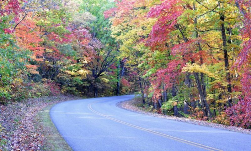 Private Blue Ridge Parkway Waterfalls Hike from Asheville - Final Thoughts: Is It Right for You?