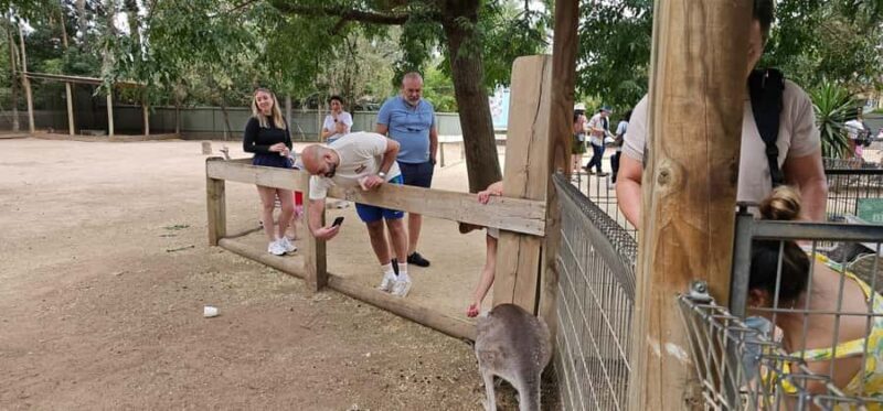 Private BlueMountains, ScenicWorld & AustralianWildlife Tour - Key Points
