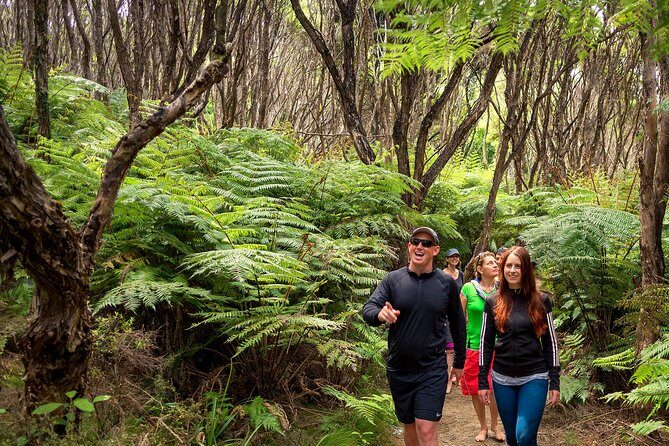 Private boat charter in Abel Tasman National Park - Practical Details