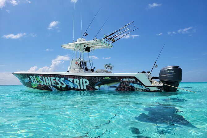 Private Boat Charter in Cayman Islands - Setting the Scene: What To Expect on This Private Boat Tour