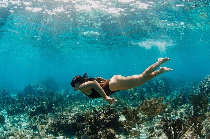 Private Boat Charter Snorkeling Stingray City or Bio Bay - Practical Details