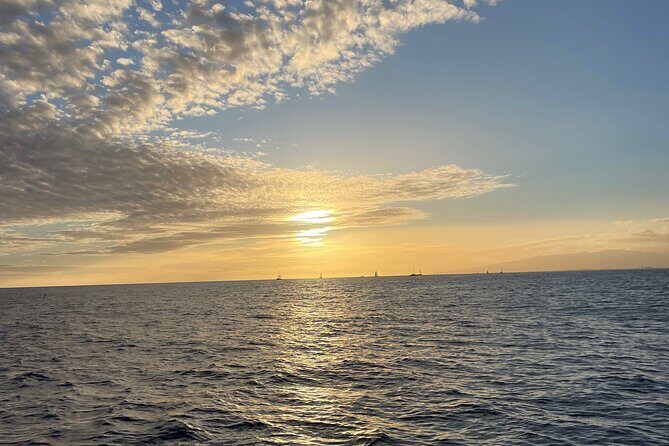 Private Boat Cruise of Waikiki! Snorkel, Sightseeing, Sea Life! - Who Will Love This Tour?