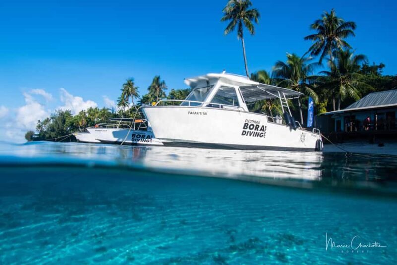 Private Boat for your Romantic Dive in Bora Bora - The Sum Up