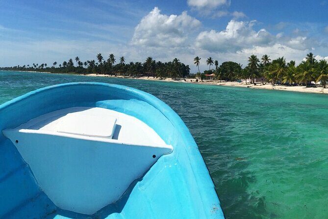 Private Boat Nature Tour of Saona Island - Final Thoughts