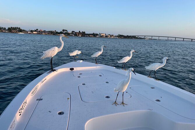 Private boat offering dolphin watching, island excursions and nature tours - The Sum Up