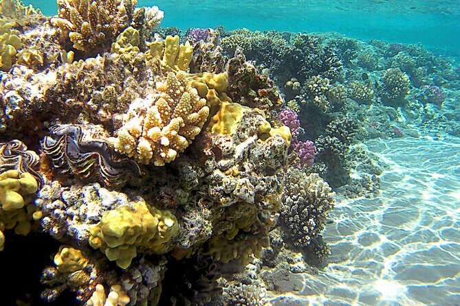 Private Boat Rental in Sharm EL Sheikh Aboard Barbarosa - FAQs