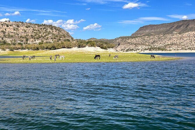Private Boat Rental w/Captain in Lake Pleasant Arizona - An In-Depth Look at the Lake Pleasant Private Boat Tour