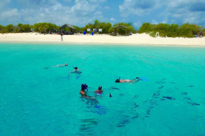 Private Boat Snorkel tour to Klein Bonaire - Why Choose This Tour?