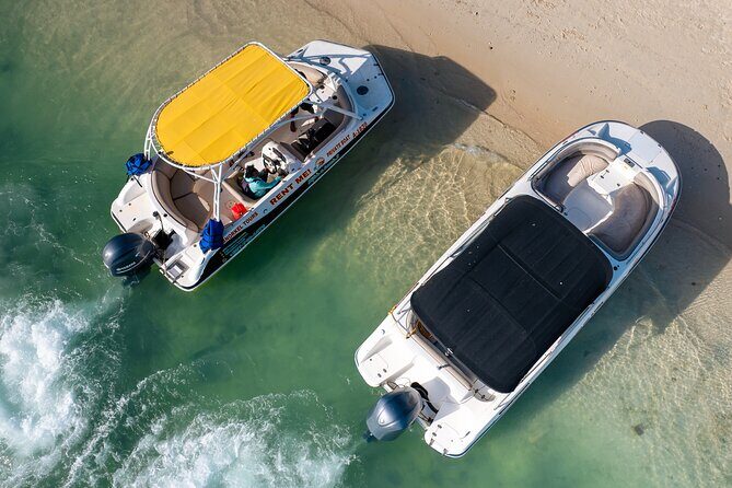 Private Boat & Snorkeling Adventure on Arubas Crystal Coast - A Closer Look at the Experience