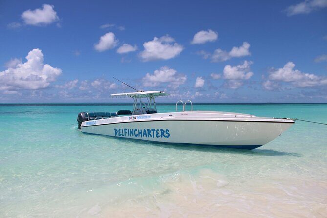 Private Boat Swim and Snorkel Adventure to Rose Island - Key Points
