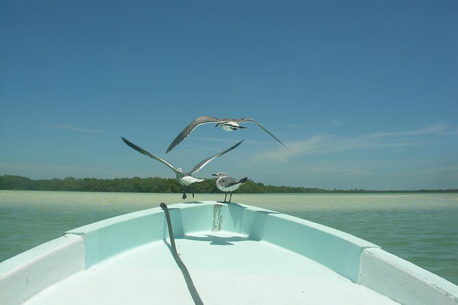 Private Boat to visit Holbox surroundings (3-Island Tour) - FAQs