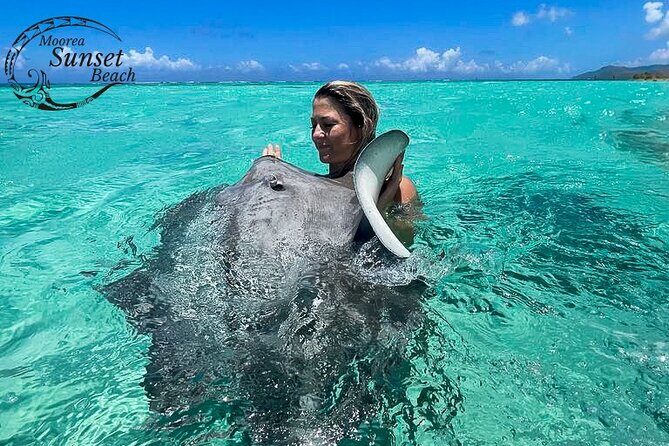 Private Boat Tour Around the Island of Moorea (With Lunch) - Key Points: