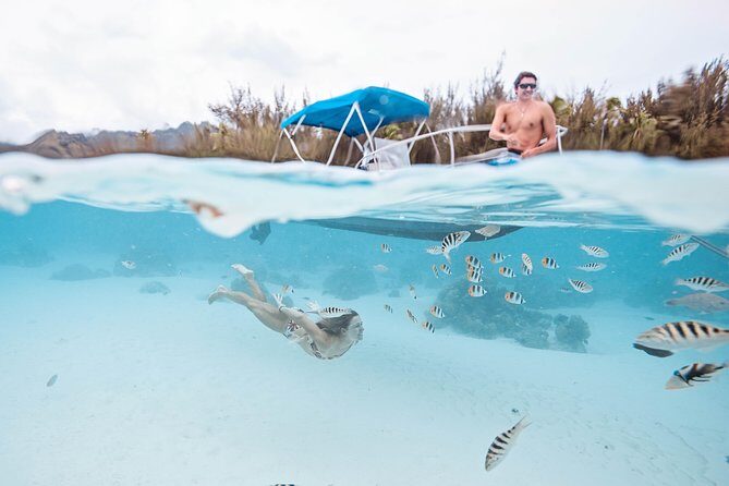 Private Boat Tour of Moorea Lagoon - Who Will Love This Tour?