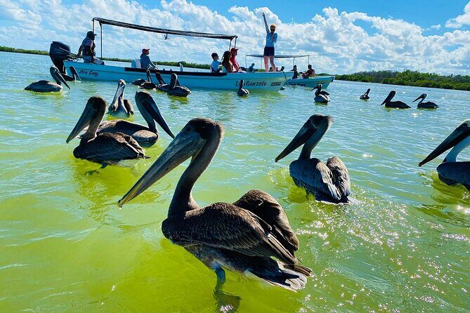 Private Boat Tour of Rio Lagartos - Who Will Love This Tour?