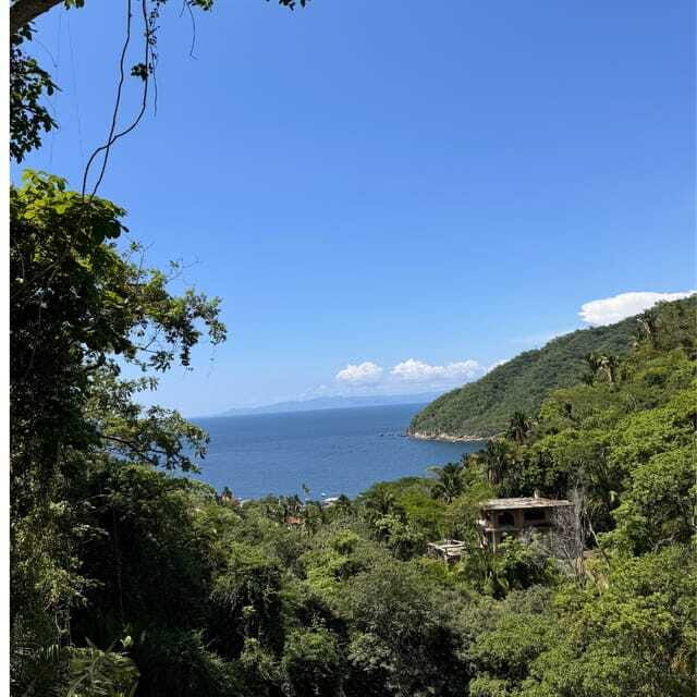PRIVATE BOAT TOUR | SNORKEL | RESTAURANTS | YELAPA - Who Will Love This Tour?