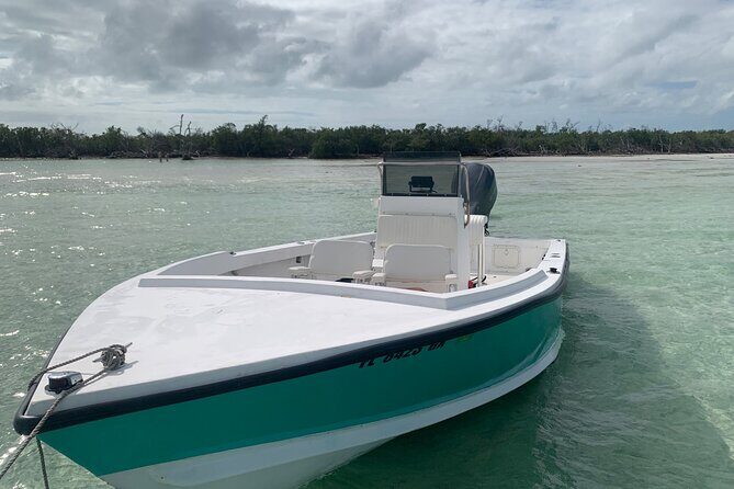 Private Boat Tour to Sand Bar Snorkel Dolphins and Sunset - Frequently Asked Questions