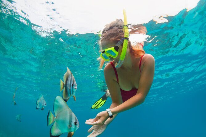 Private Boat Tour to Yelapa and Majahuitas Snorkel (up to 7 guests) - Who Should Consider This Tour?