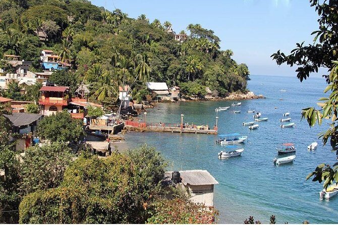 Private Boat Tour to Yelapa - An In-Depth Look at the Experience