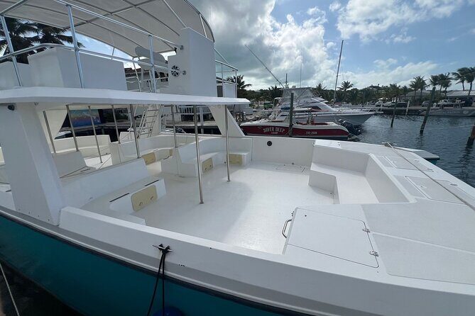 Private Boat Tour with Snorkeling and Beach BBQ - An In-Depth Look at the Tour