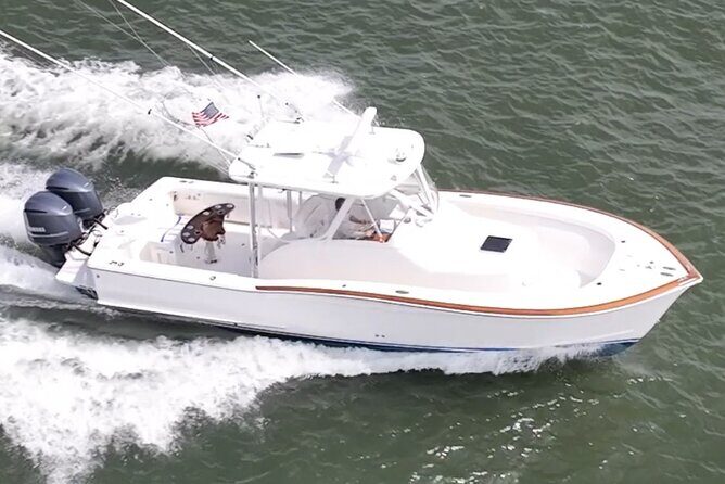 Private Boat Tours and dolphin encounters in Avalon NJ - Experience a Private Boat Tour and Dolphin Encounter in Avalon NJ