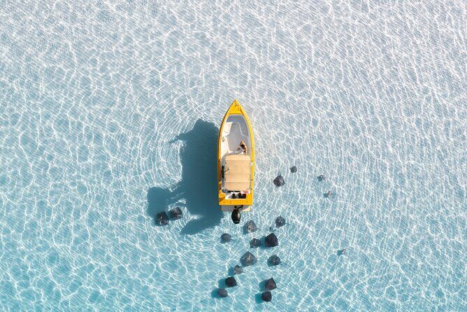 Private Boat Tours: Customize Your Grand Cayman Adventure! - An In-Depth Look at the Tour Experience