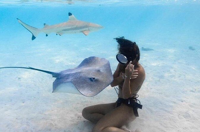 Private Boat Tours on Moorea Lagoon - Who Should Book This Tour?