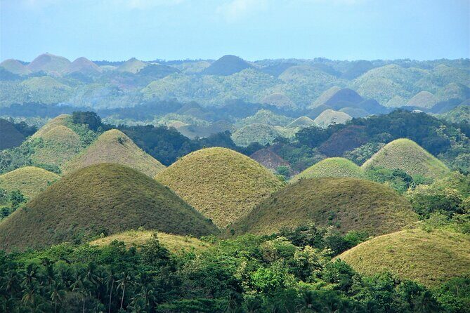 Private Bohol and Chocolate Hills with Loboc River Cruise - A Deep Dive into the Itinerary