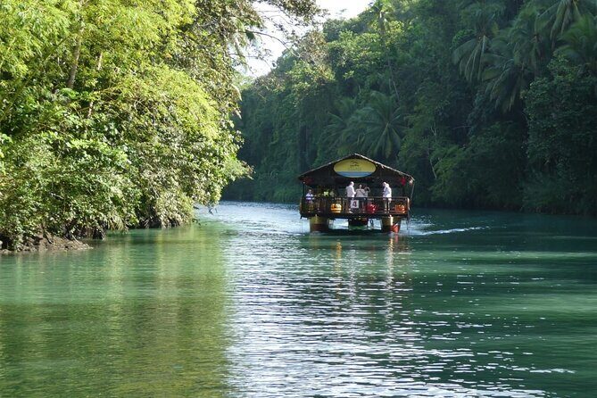Private Bohol and Chocolate Hills with Loboc River Cruise - Overall Impression and Who Will Love This Tour