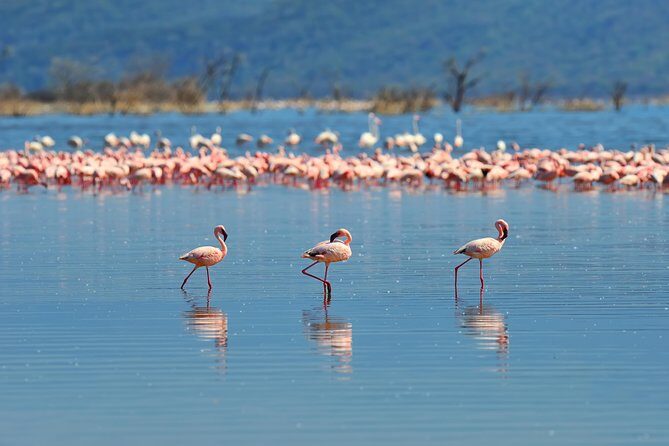 Private Bonaire Island Spanish Tour with Local Guide - Who Will Love This Tour?