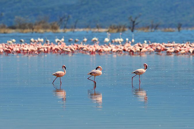 Private Bonaire Island Tour in English with a Bonaire Local - Who Will Love This Tour?